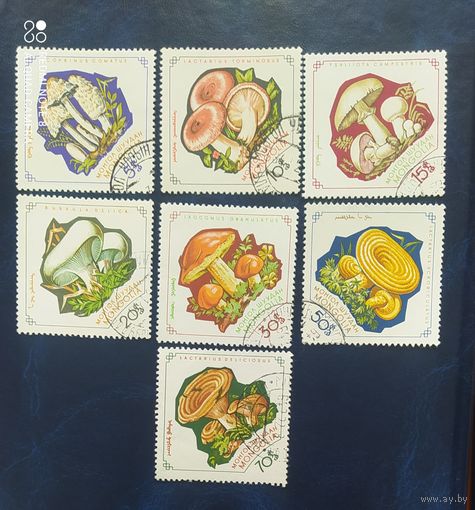 Монголия 1964 Грибы, не полная серия