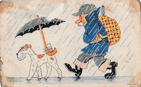 Открытка коллекционная. Карикатура, Пес. 1968 года. Москва. СССР
