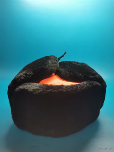 Ушанка железнодорожника р-56.