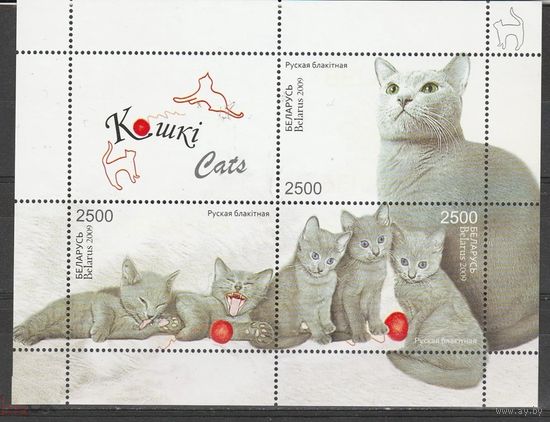 Беларусь 2009 год. Фауна Кошки. Номер по Michel block 69. Состояние MNH