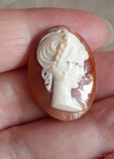 Камея из натуральной раковины.