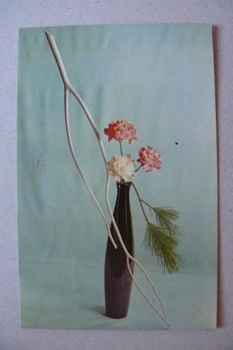 Агнатович Е., Композиция из цветов, 1969, подписана.