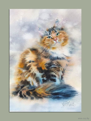 Открытка. Фауна. Животные. Коты. Котики. Трехцветная кошка. Худ. Л.Титова (чистая)