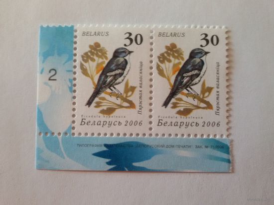 Беларусь. 2006. Девятый стандарт. Зак. 71-2006. Лист 6х7 (2). Пара с номером заказа (А050)