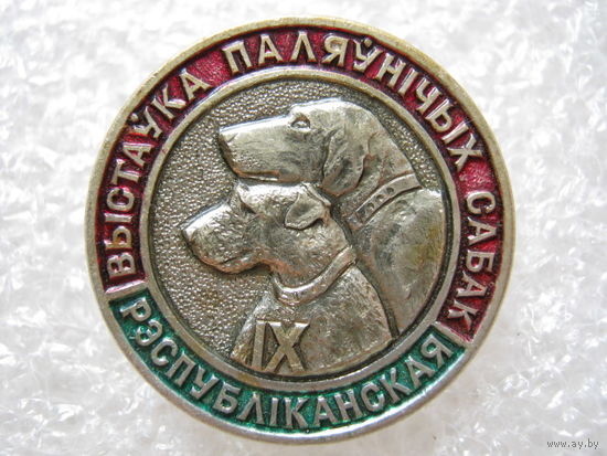 9 Республиканская выставка охотничьих собак.