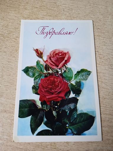 Поздравляю! худ Дергилев