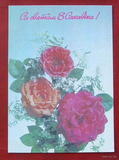 Са святам 8 сакавiка. Чистая. Дергилева. 1992 года. 1347.
