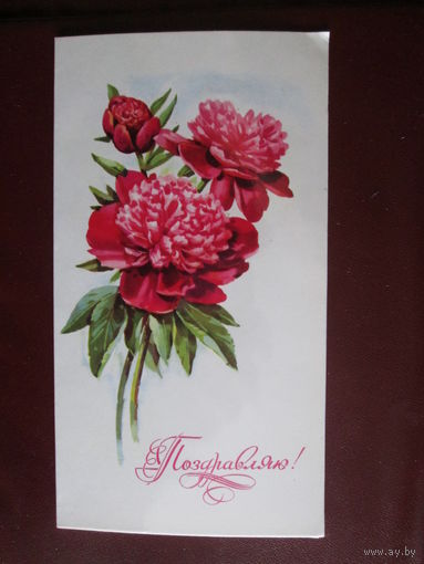 Почтовая карточка.СССР.1977г.Чистая.