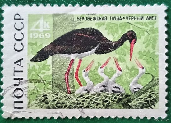 СССР 1969. Чёрный аист. Марка из серии
