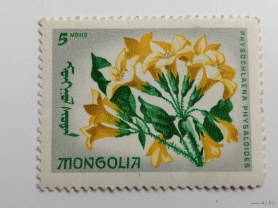 Монголия 1966. Цветы
