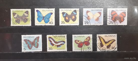 Гайана. Фауна. Бабочки (1453)