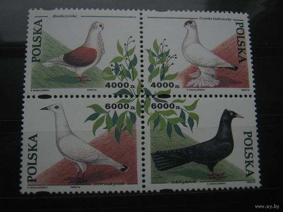 Марки - Польша, фауна, птицы, квартблок и блок, голуби 1994