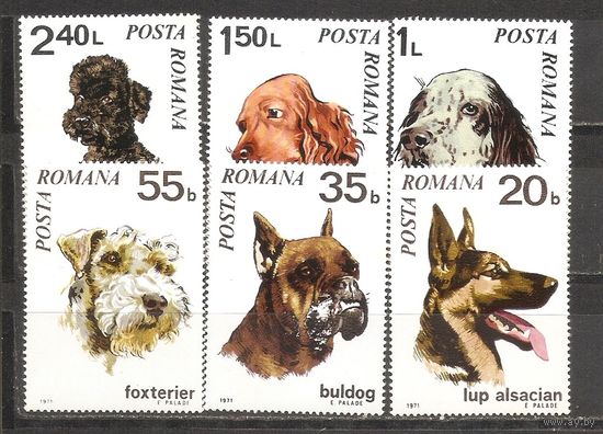 ФФ1 Румыния 1971 Собаки