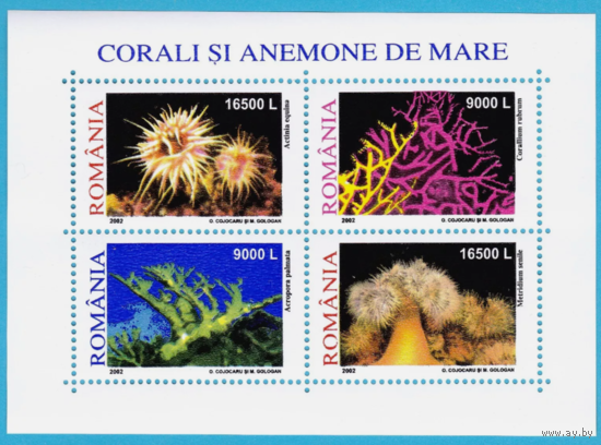 Румыния 2002 кораллы ФЛОРА MNH