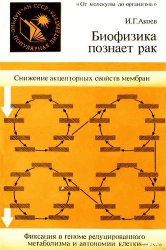 И. Г. Акоев. Биофизика познает рак.