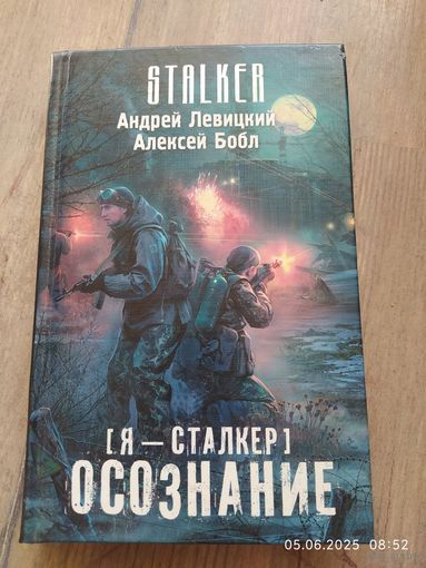 Осознание - Сталкер Левицкий, Бобл