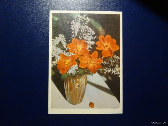 Букет.  1961 г.