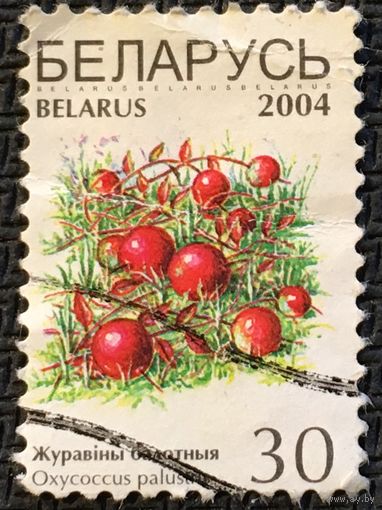 ЦІКАВІЦЬ АБМЕН! 2004, журавіны балотныя, 30 руб