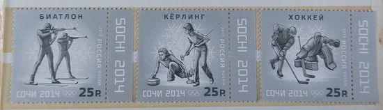 Россия 2013 Олимпийские игры в Сочи