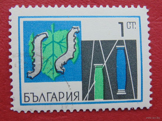 Болгария. Флора.
