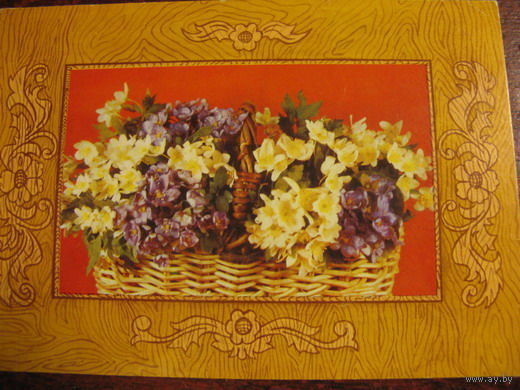 Цветы  1977г.