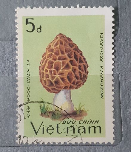 Вьетнам грибы 1шт