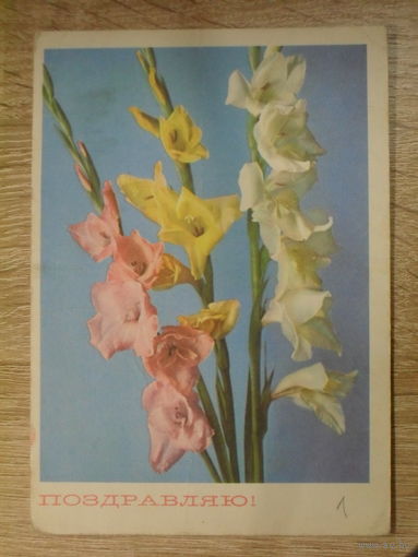 ПОДПИСАННАЯ ОТКРЫТКА СССР. "ПОЗДРАВЛЯЮ" ФОТО. П. СМОЛЯКОВА. 1968 ГОД.