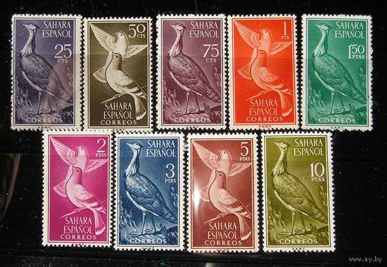 Испанская Сахара 1961 Птицы