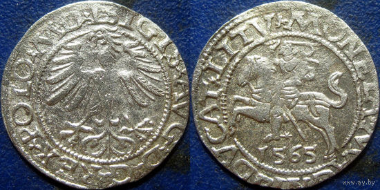 ВКЛ. Полугрош 1565 года.