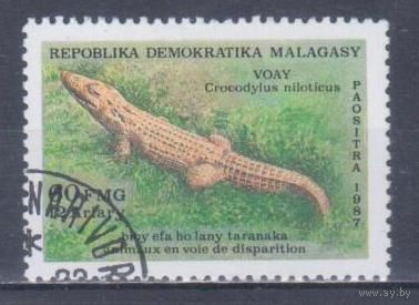 [865] Мадагаскар 1987. Фауна.Рептилии.Крокодил. Гашеная марка.