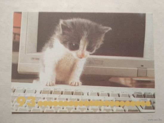 Карманный календарик. Котик.1993 год