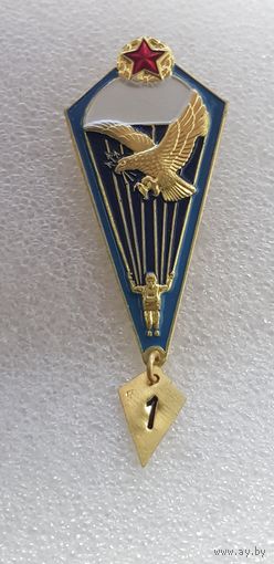 Парашютист ВВС Беларусь*