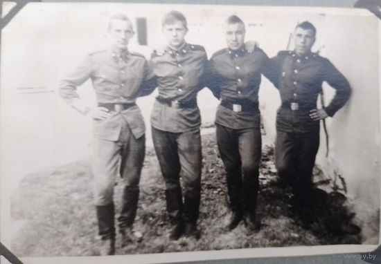 Фото в коллекцию