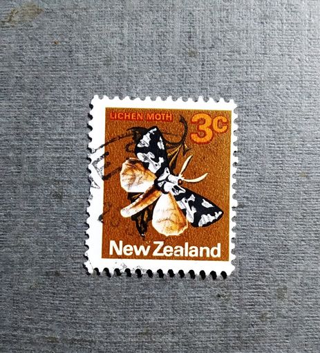 Марка Новая Зеландия 1970 год Бабочка