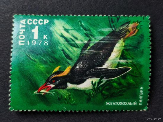 1978 СССР. Арктическая Фауна. Жёлтохохлый пингвин