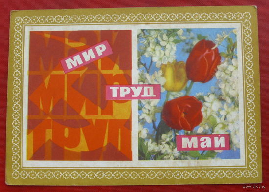 Мир! Труд! Май! Чистая. Кондратюк. 1971 года. 302.