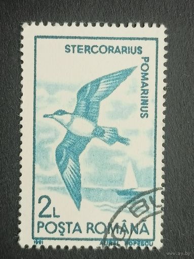 Румыния 1991. Птицы. Средний поморник
