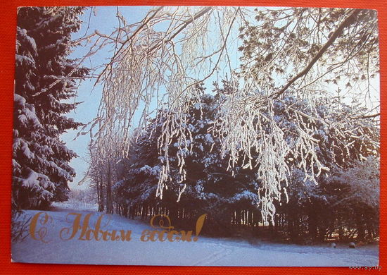 С Новым Годом! Чистая. 1989 года. Фото Буркина. # 245.
