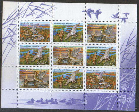 РФ. З. Малый лист 35/37. 1992. Утки. чиСт.