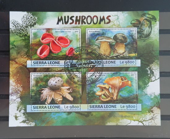 ЛИСТ ФЛОРА ЦВЕТЫ ГРИБЫ  СТО