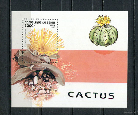 Бенин - 1997 - Цветы. Кактусы - [Mi. bl. 32] - 1 блок. MNH.  (Лот 96ER)-T7P15