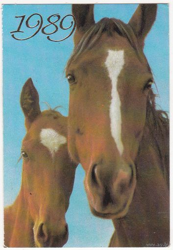Календарие 1989 (140)
