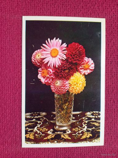 С Праздником! Стейнерт 1977 г. Чистая.