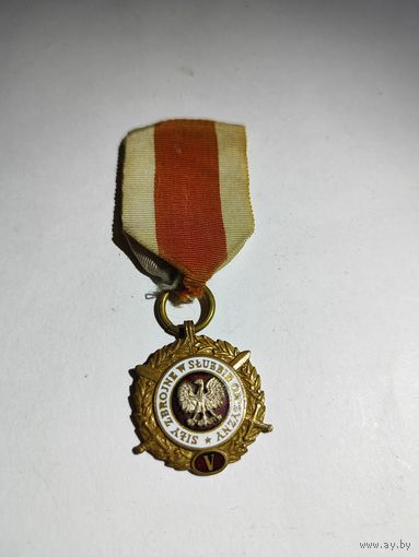 Медаль-Польша. Вооружённые силы на службе Отечеству -5 лет.