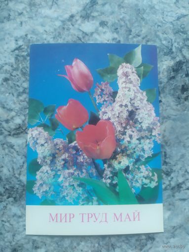 Открытка "Мир-Труд-Май"\1