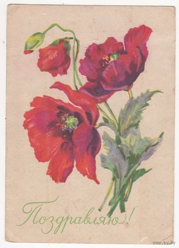 Открытка 1960 (382)