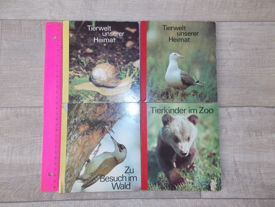 Книги картонные с картинками зверей, птиц, зоопарк.