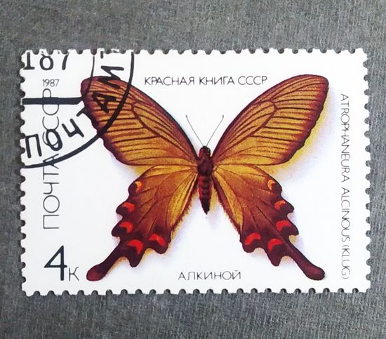 Марка СССР 1987 год Бабочка