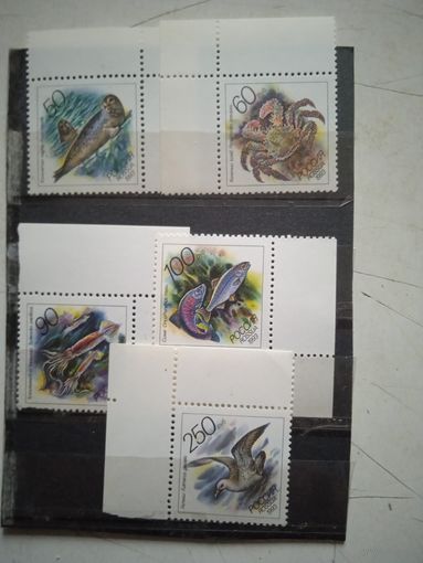 Фауна россии