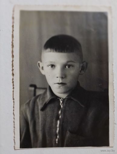 Фото в коллекцию